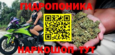 гашик Рузаевка