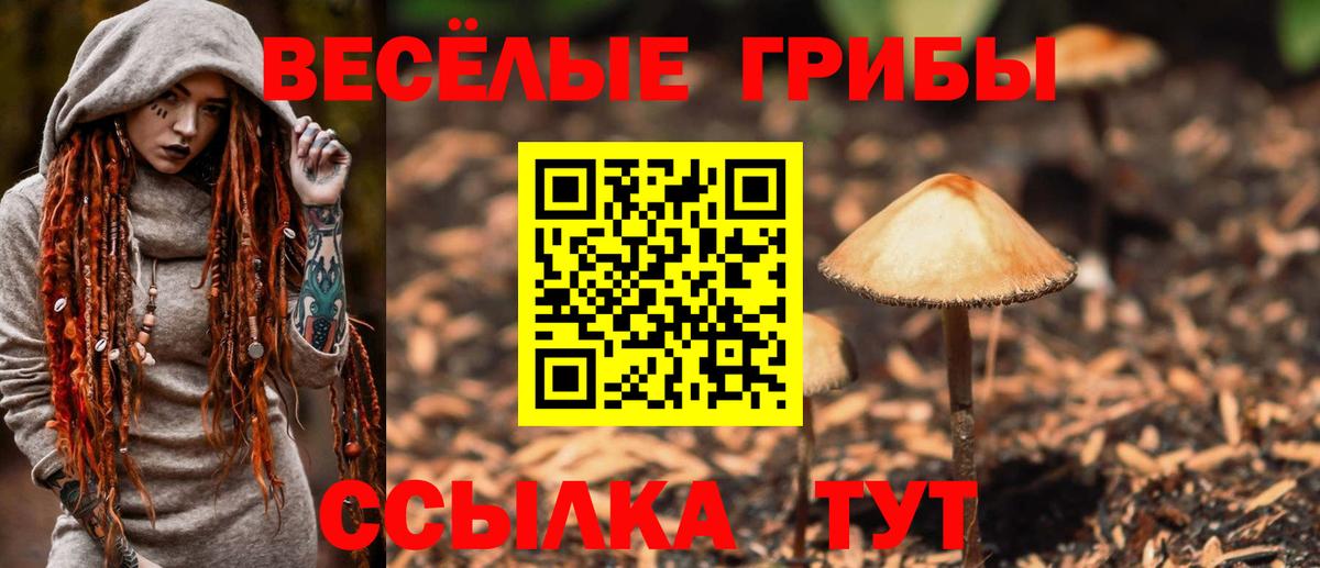 Псилоцибиновые грибы GOLDEN TEACHER  Вход с VPN  Сокол 